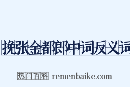挽张金都郎中词反义词是什么意思的图片